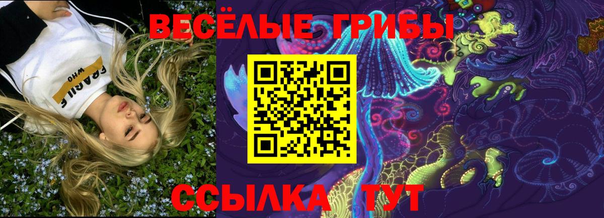 Галлюциногенные грибы Psilocybine cubensis  Вход с VPN  Галлюциногенные грибы ЛСД  Россошь 
